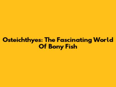 Osteichthyes: The Fascinating World Of Bony Fish