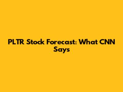 PLTR Stock Forecast: What CNN Says