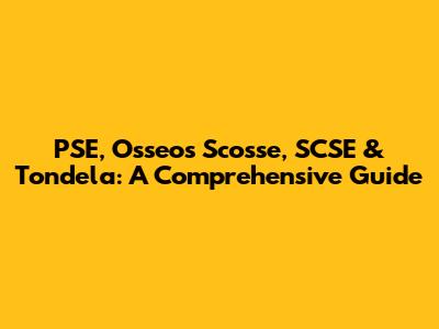 PSE, Osseos Scosse, SCSE & Tondela: A Comprehensive Guide