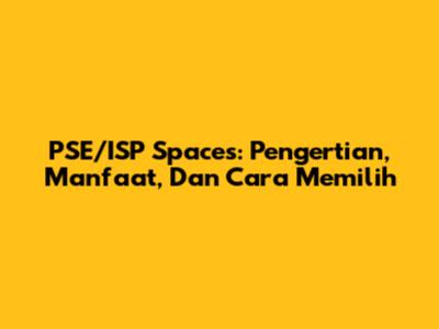 PSE/ISP Spaces: Pengertian, Manfaat, Dan Cara Memilih