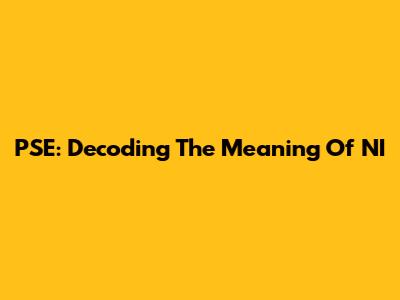 PSE: Decoding The Meaning Of 'NI'