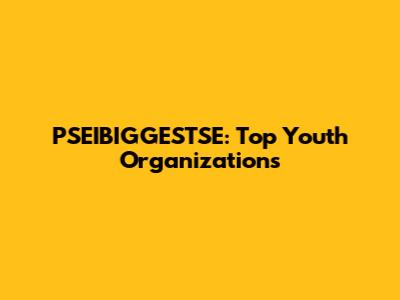 PSEIBIGGESTSE: Top Youth Organizations