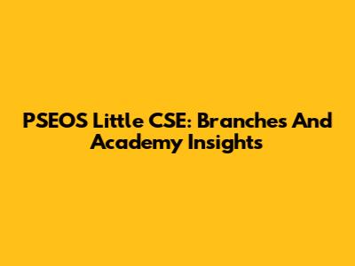 PSEOS Little CSE: Branches And Academy Insights