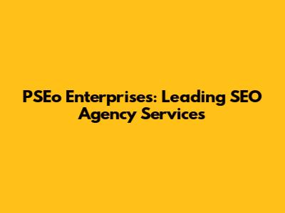 PSEo Enterprises: Leading SEO Agency Services