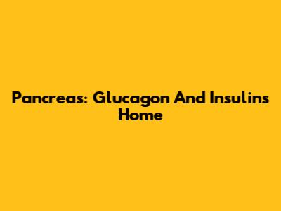 Pancreas: Glucagon And Insulin's Home
