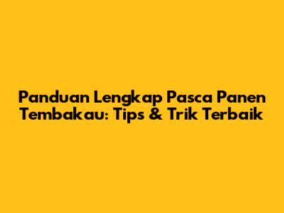 Panduan Lengkap Pasca Panen Tembakau: Tips & Trik Terbaik