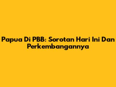 Papua Di PBB: Sorotan Hari Ini Dan Perkembangannya