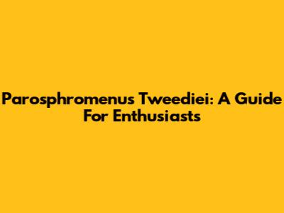 Parosphromenus Tweediei: A Guide For Enthusiasts