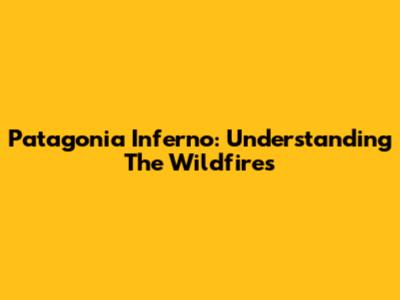 Patagonia Inferno: Understanding The Wildfires