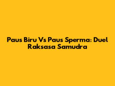 Paus Biru Vs Paus Sperma: Duel Raksasa Samudra