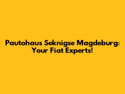 Pautohaus Seknigse Magdeburg: Your Fiat Experts!
