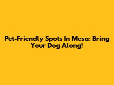 Pet-Friendly Spots In Mesa: Bring Your Dog Along!