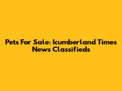 Pets For Sale: Icumberland Times News Classifieds