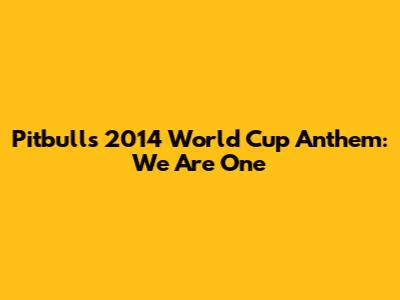 Pitbull's 2014 World Cup Anthem: We Are One