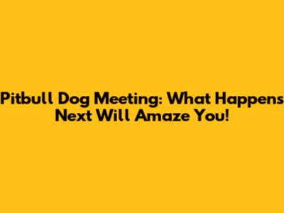 Pitbull Dog Meeting: What Happens Next Will Amaze You!