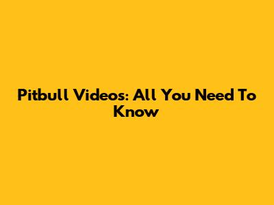 Pitbull Videos: All You Need To Know