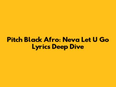 Pitch Black Afro: 'Neva Let U Go' Lyrics Deep Dive