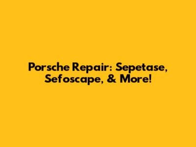 Porsche Repair: Sepetase, Sefoscape, & More!