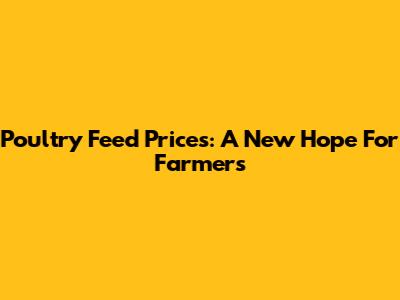 Poultry Feed Prices: A New Hope For Farmers