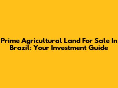 Prime Agricultural Land For Sale In Brazil: Your Investment Guide
