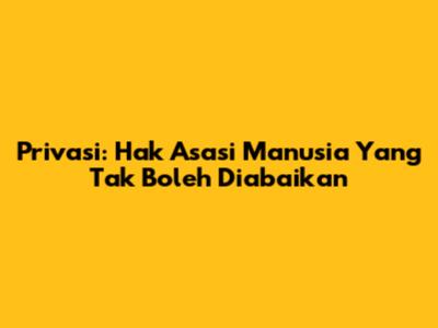Privasi: Hak Asasi Manusia Yang Tak Boleh Diabaikan