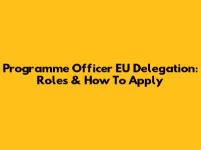 Programme Officer EU Delegation: Roles & How To Apply