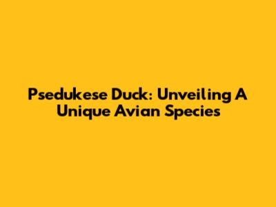 Psedukese Duck: Unveiling A Unique Avian Species