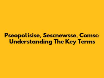Pseopolisise, Sescnewsse, Comsc: Understanding The Key Terms