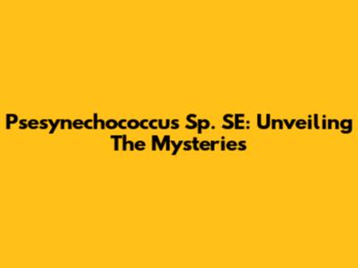Psesynechococcus Sp. SE: Unveiling The Mysteries