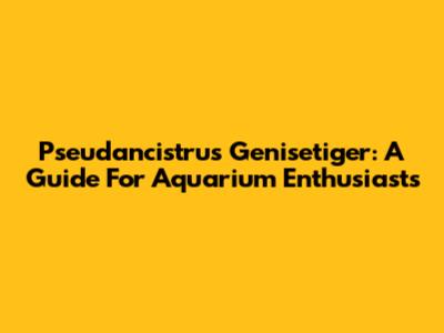Pseudancistrus Genisetiger: A Guide For Aquarium Enthusiasts