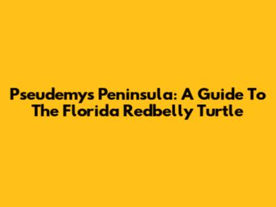 Pseudemys Peninsula: A Guide To The Florida Redbelly Turtle