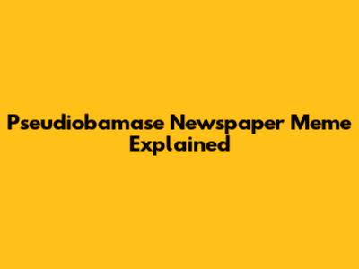 Pseudiobamase Newspaper Meme Explained