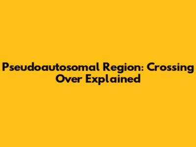 Pseudoautosomal Region: Crossing Over Explained