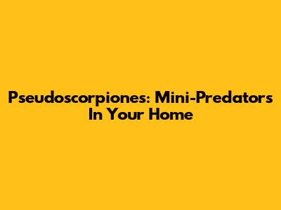 Pseudoscorpiones: Mini-Predators In Your Home