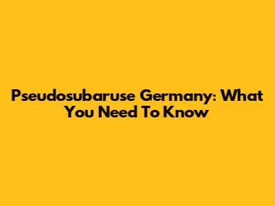 Pseudosubaruse Germany: What You Need To Know