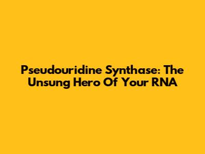 Pseudouridine Synthase: The Unsung Hero Of Your RNA