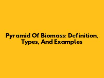 Pyramid Of Biomass: Definition, Types, And Examples