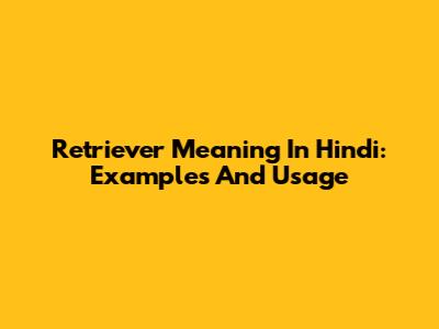 Retriever Meaning In Hindi: Examples And Usage