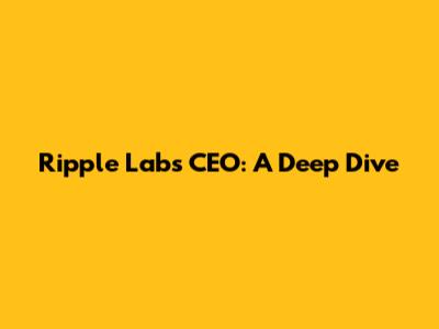 Ripple Labs CEO: A Deep Dive