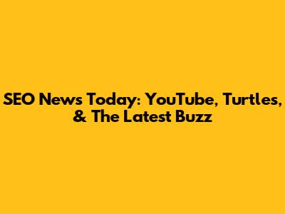 SEO News Today: YouTube, Turtles, & The Latest Buzz