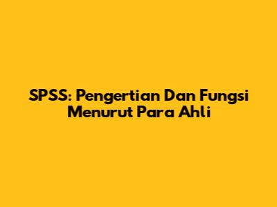 SPSS: Pengertian Dan Fungsi Menurut Para Ahli