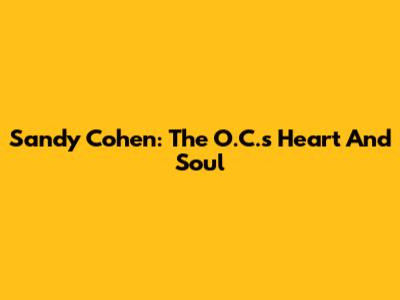 Sandy Cohen: The O.C.'s Heart And Soul