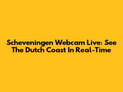 Scheveningen Webcam Live: See The Dutch Coast In Real-Time