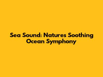 Sea Sound: Nature's Soothing Ocean Symphony