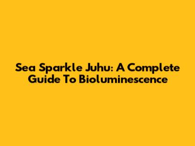Sea Sparkle Juhu: A Complete Guide To Bioluminescence