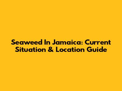 Seaweed In Jamaica: Current Situation & Location Guide