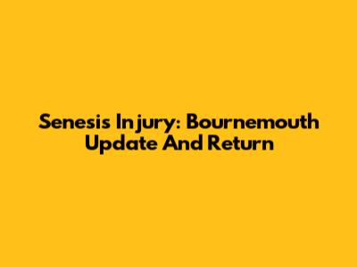Senesi's Injury: Bournemouth Update And Return