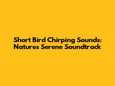 Short Bird Chirping Sounds: Nature's Serene Soundtrack