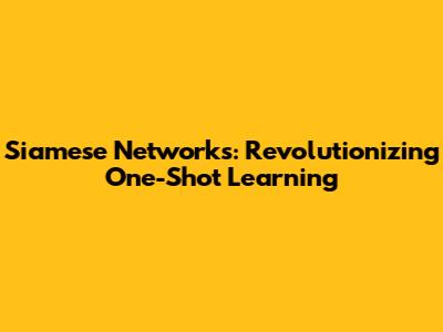 Siamese Networks: Revolutionizing One-Shot Learning