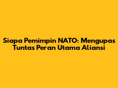 Siapa Pemimpin NATO: Mengupas Tuntas Peran Utama Aliansi